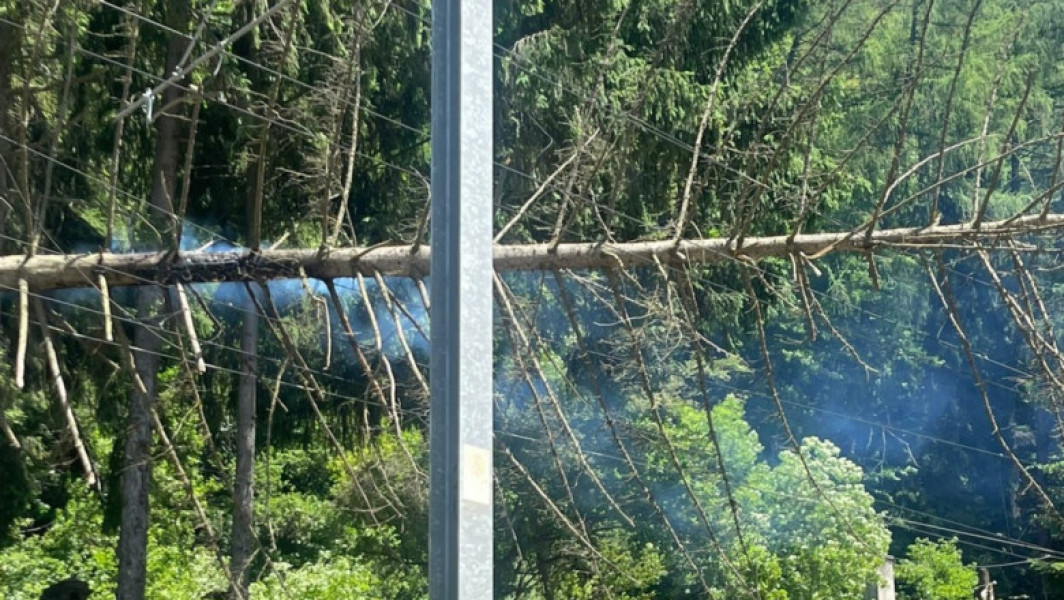 Foto Copac căzut peste linia de contact a CFR între Sinaia și Bușteni. Trenurile au întârzieri de până la 205 minute